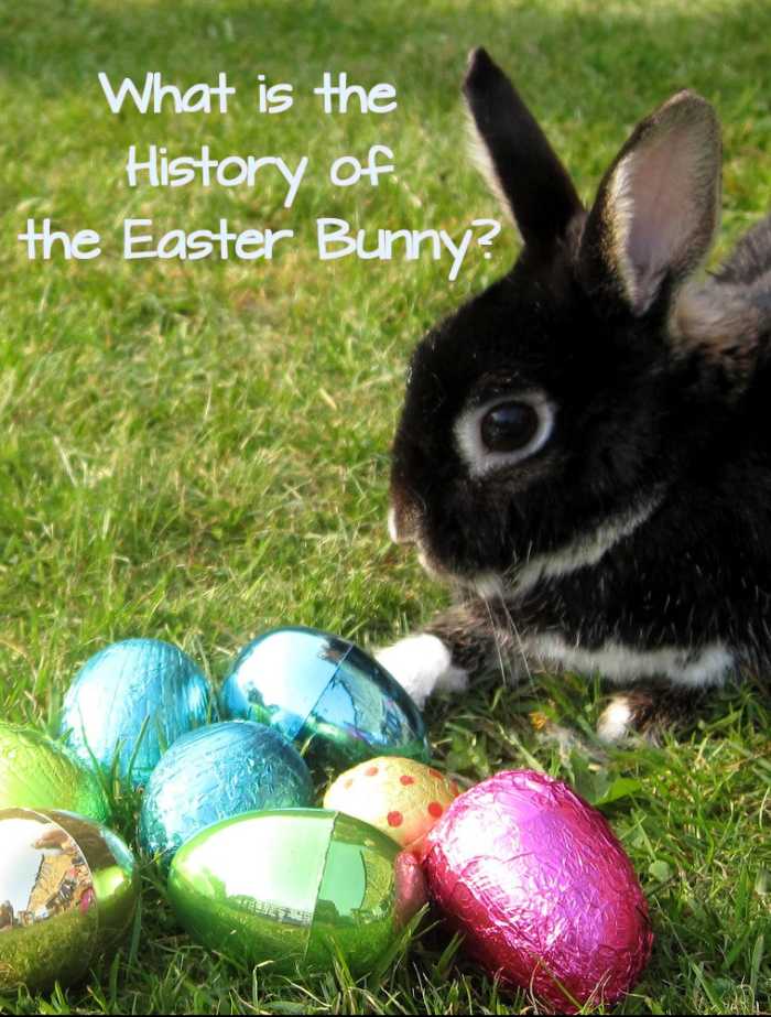 Ever wondered where the Easter Bunny came from and where it originated?