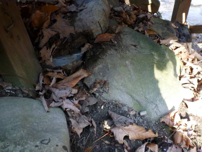 There is a letterbox in this picture - can you see it? Finding the small boxes in their hiding places can take a sharp eye (click to enlarge)!