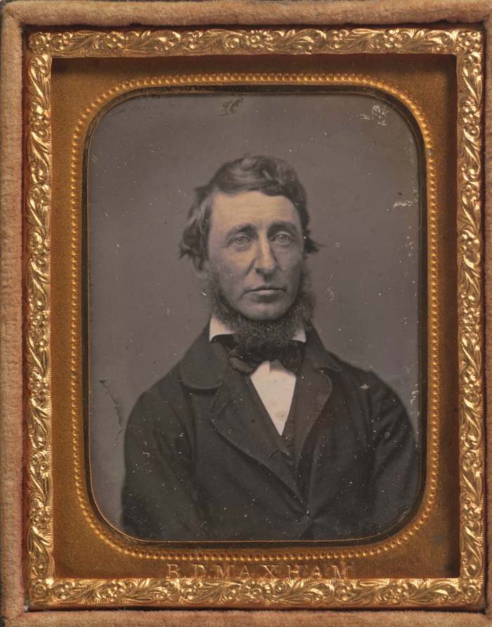 Henry David Thoreau