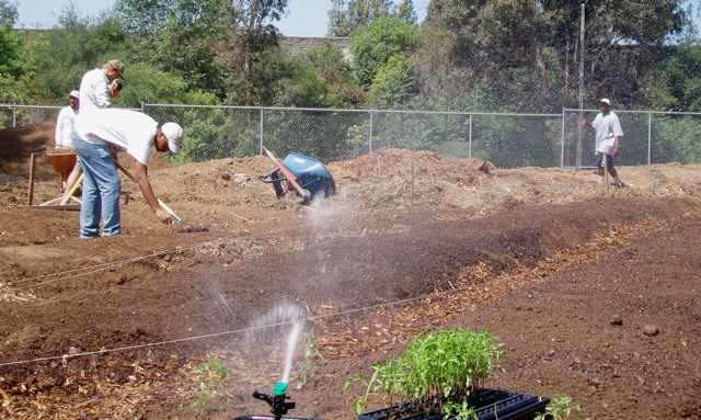 Water helps soften the soil prior to planting. It also softens protective seed covers, so the little sprouts inside the seed can push through and grow.
