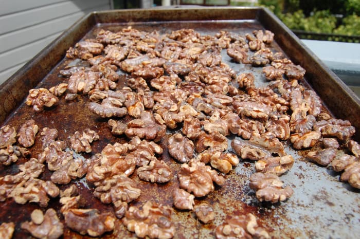 Toast the walnuts right after the first kneading so they are ready to mix in after the second kneading.