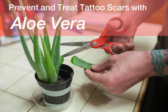 When the skin under a new tattoo becomes raised, there may be a scar developing. Aloe vera gel, applied a few times a day, can help flatten and remove the scar altogether.