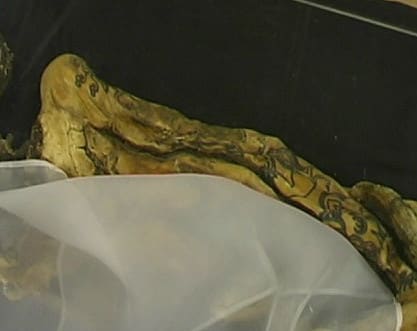A 2,500 year old female mummy, called the Princess of the Altai, with visible tattoos on both arms and all fingers. The mummy was found in 1993 on a remote Siberian plateau.