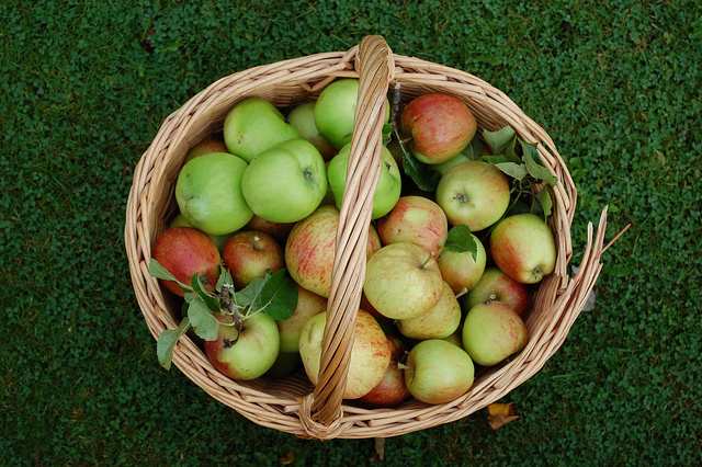 Mabon is a time of harvesting the crops ready to be stored and enjoyed over winter.