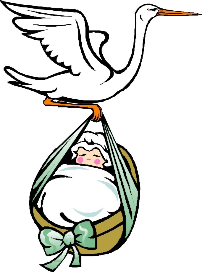 You can blame the English for the baby-carrying stork. In the Middle Ages they noticed their storks left on a migratory journey for nine months out of the year. Did they bring back human babies on their return? Well, only you can decide on that one!