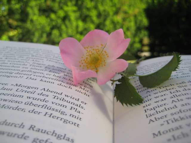A large part of Wicca is personal growth. Wiccan-specific resources aren't the only resources that help you do that.