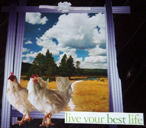 Don't Waste Time Thawing Chicken!