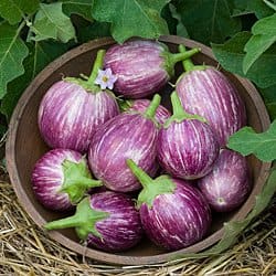 dzięki uprzejmości: Cooksgarden.com