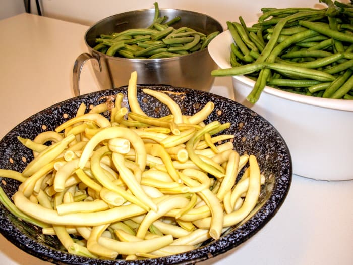 Last summer (2009), I canned three different varieties of snap beans: two overgrown French Filet types (oops) and a Yellow Wax variety.