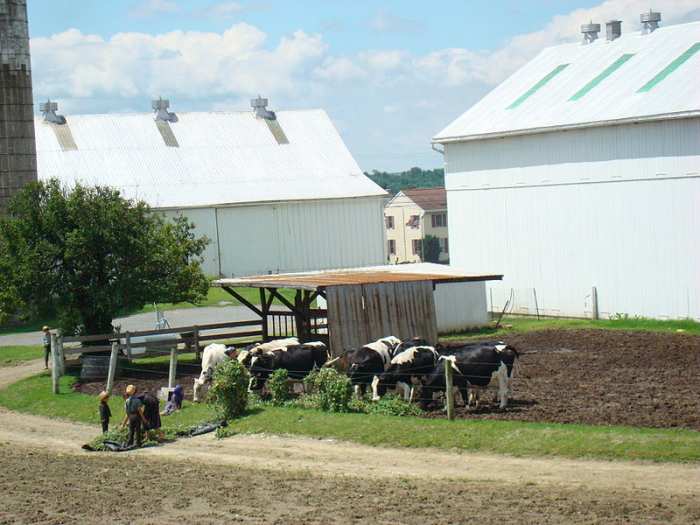 An Amish farm along the Strasburg Railroad line in Lancaster County. (Photos this page public domain)