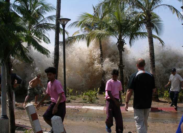 Panic: People flee as a Tsunami wave crashes into trees in Indonesia on Boxing Day, December 26, 2004
