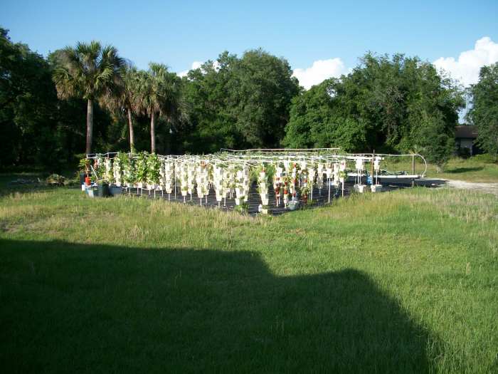 visit-kevin-newells-hydroponic-organic-vegetable-farm