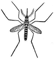 Bug bites that cause swelling are many and varied. Read the list to try to identify what kind of bug bite you have.