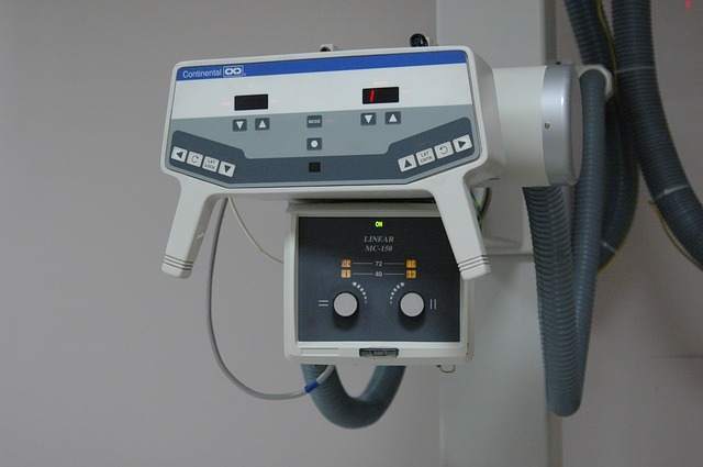 A thorough dental service should include dental radiographs, according to the American Animal Hospital Association.