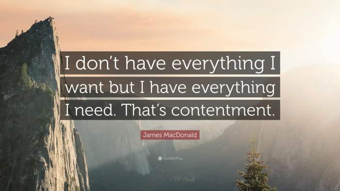 Often, the narrative will cause your characters to give up what they initially wanted for the greater good, which is need. Making this sacrifice shows that the character has grown or matured through the events of the story.