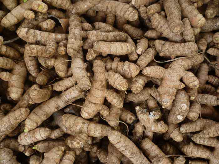the-benefits-of-turmeric