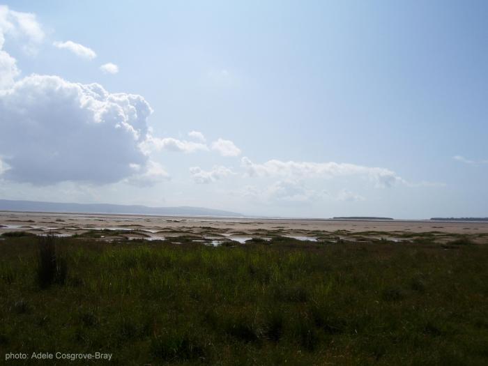 Marsh grass lining West Kirby beach, with Little Eye and one corner of Middle Eye on the horizon, with the hazey hills of Flintshire on the left.