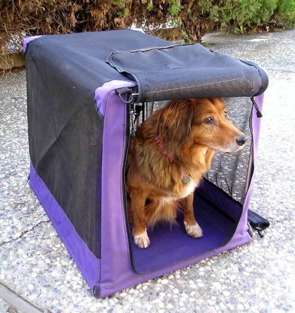 Fabric crates are best suited for calm dogs. These are easy to pack and transport and are convenient for those who enjoy traveling, camping, or other outdoor activities