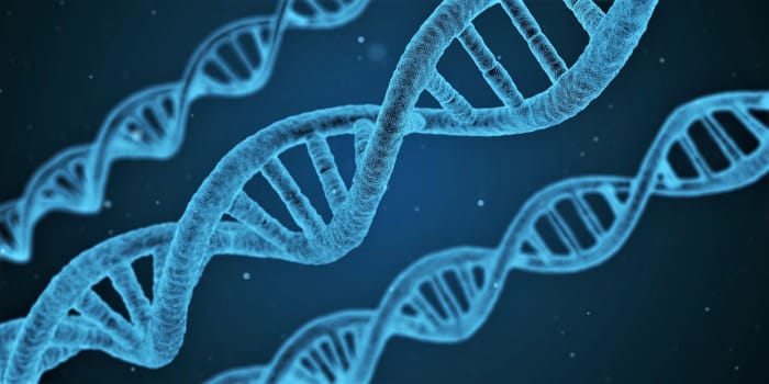 The habit of sucking the flank observable in Dobermans is caused by a gene similar to the one that causes autism among humans.