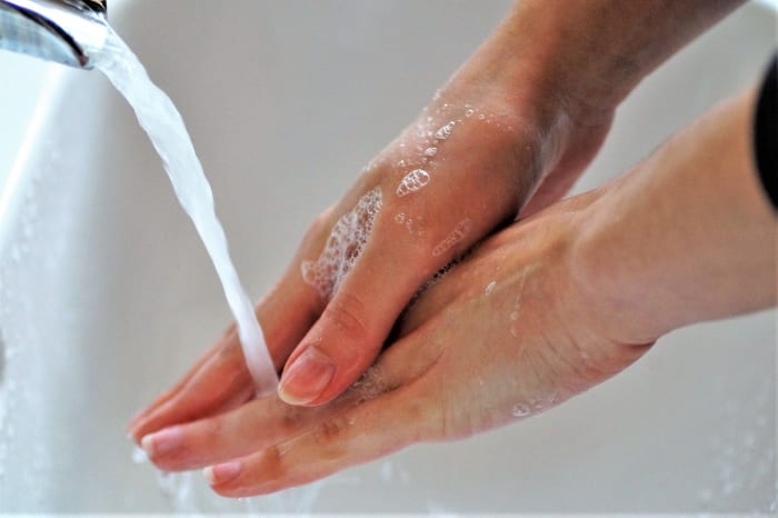 In humans, OCD is detected through such observable actions as obsessively washing one's hands.