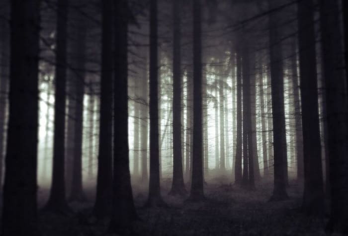 Rachel Burkheimer lay in the dark woods in the foothills of the Cascade Mountains, where she would pray before her death. Photo courtesy of SSC Library.
