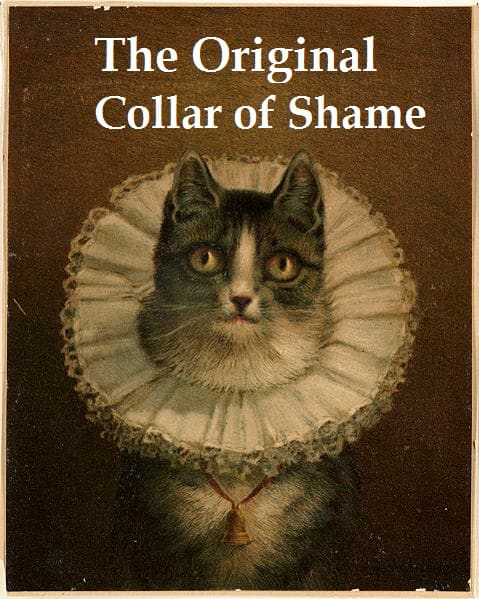 Collars of Shame go way back. Picture Source: http://commons.wikimedia.org/wiki/File:The_Widow_(Boston_Public_Library).jpg