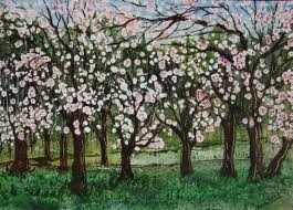 In spring trees will flower, as soon as the days become longer and the temperature becomes warmer, all trees look wonderful when they are in flower and we all are happy to see these events.