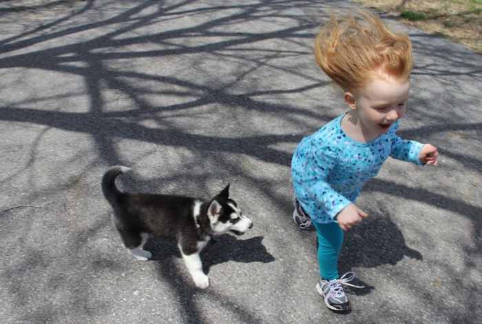 Puppies can get overstimulated and tired when around young children for too long.