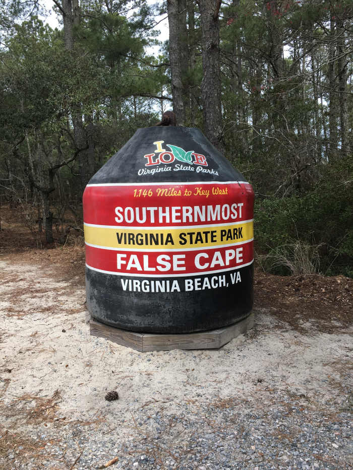 False Cape is the southern most state park in Virginia. It extends from Back Bay National Wildlife Refuge to the North Carolina boarder.