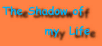 My life story and my life observations are like my own shadow, they follow me everywhere I go and I use them to live the rest of my life the best way I can.