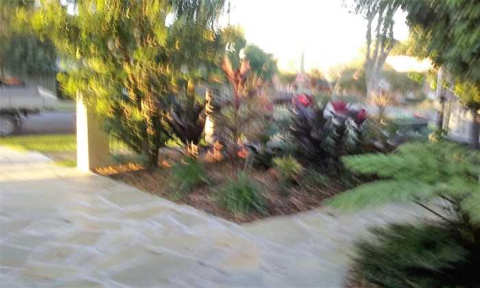 This is part of the front garden, it is a lot better now, and we like it. Let us hope that it lasts for a long time.
