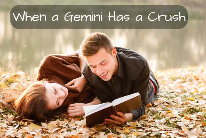Signs a Gemini likes you: (1) he writes you poetry, (2) he says he is practicing magic on you, (3) he bought you a puppy, (4) he copies you, (5) he gives you amazing hugs.