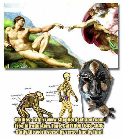Did God start us from scratch or did he use a humanoid that was already living on earth as the first man on earth as Adam?