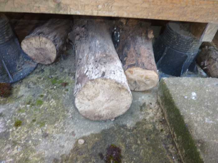 To the left, is some spalted cherry blossom from my garden, to the right, hawthorn from the Ridge.