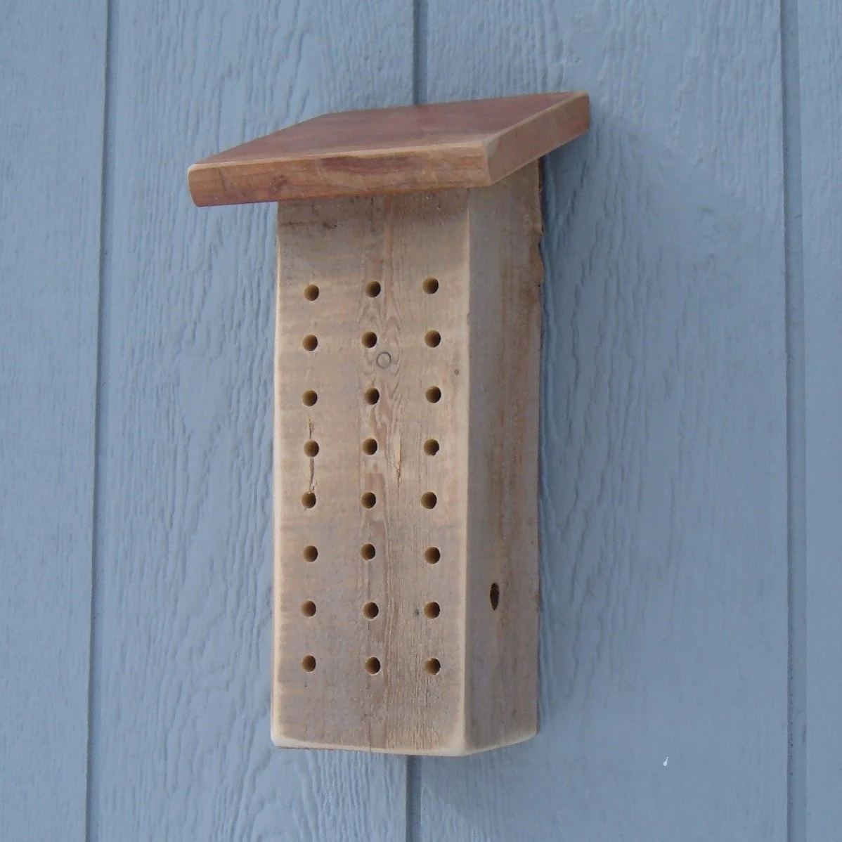 Figure 1.2: Wood block with holes drilled in to make tunnels