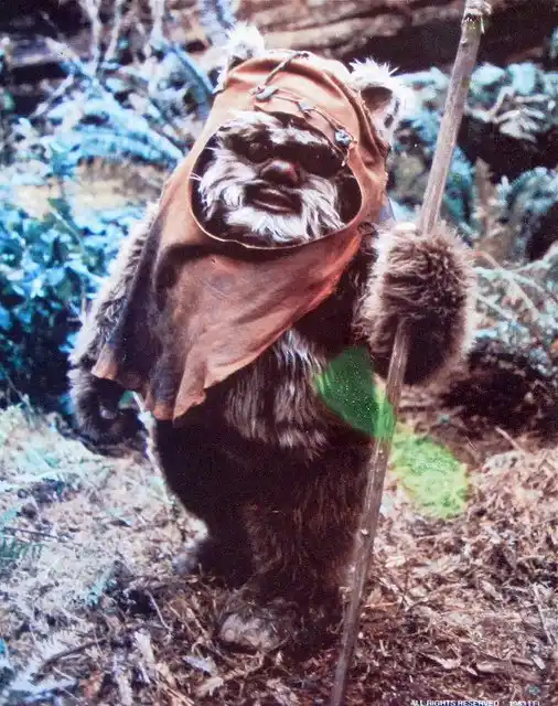 ewoks-and-the-battle-of-endor.webp