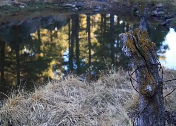 Griffith Spring Hike, Flagstaff