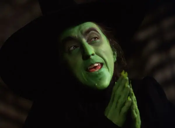 make-your-own-wicked-witch-of-the-west-costume-diy-halloween-costume-ideas-homemade-how-to.webp