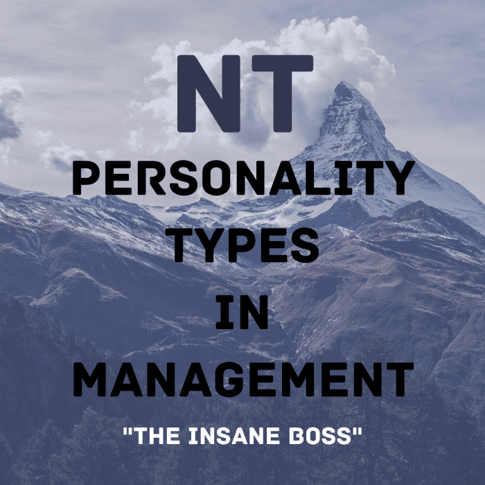 INtuitive Thinkers (NTs) aim for the mountaintops in the workplace, but as bosses, they can be challenging.