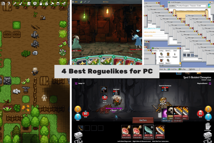 4 Best Roguelike Games for PC - HubPages
