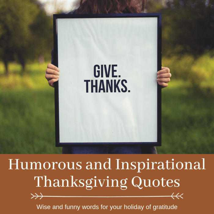 Read up on these funny and inspirational quotes about the holiday dedicated to being grateful and giving back.