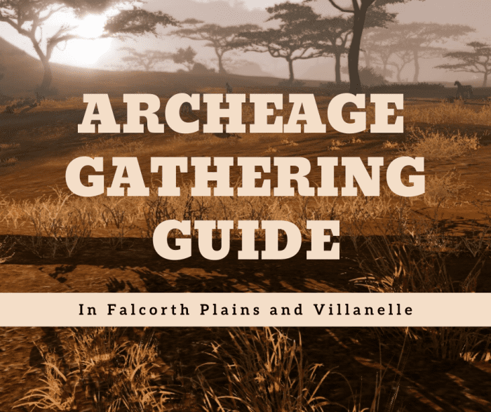 archeage map falcorth plains land