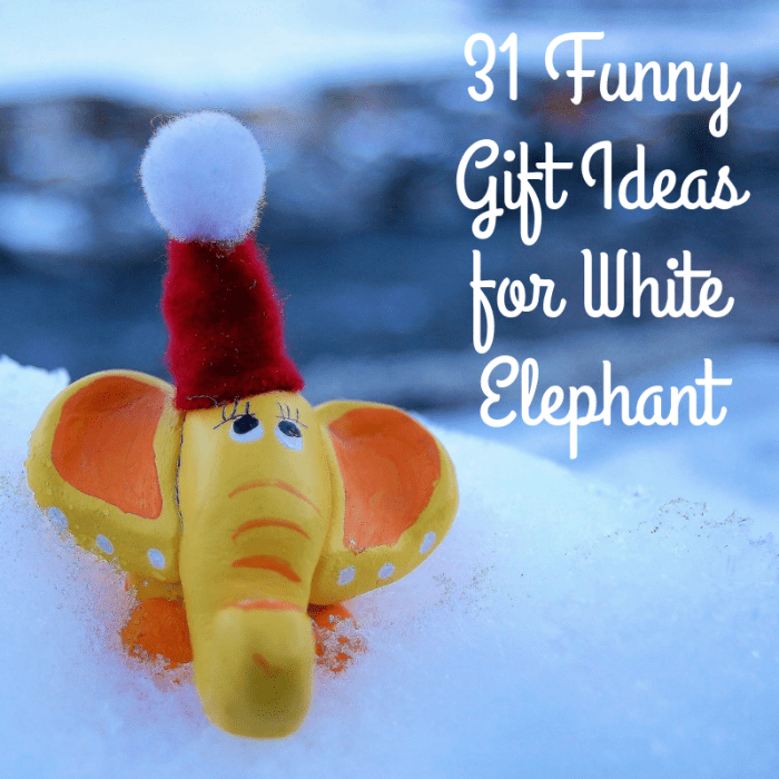 Here are 31 different fun and silly ideas for you to bring to your next white elephant gift exchange party.