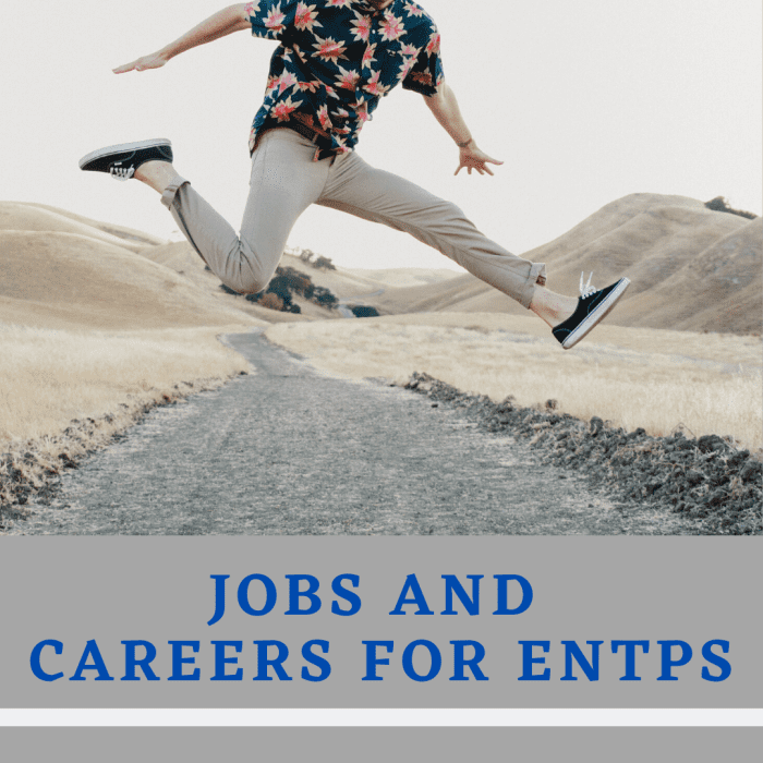 Are you an ENTP? If so, read on to see which jobs will make the best use of your high-energy personality!