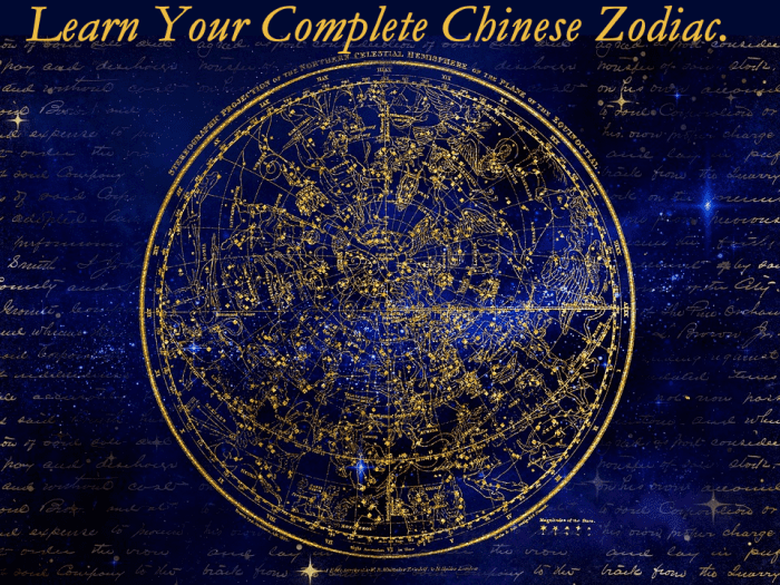 This article will give you a quick understanding of the Chinese Zodiac, plus give you the ability to work out your own sign accurately.