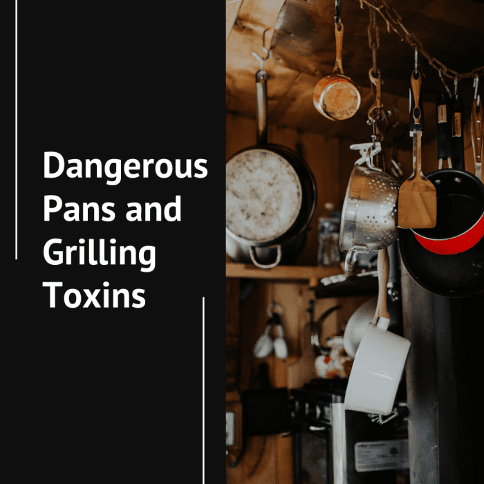 Which toxins are present in pots and pans? Read on to learn which are safe and which are dangerous.