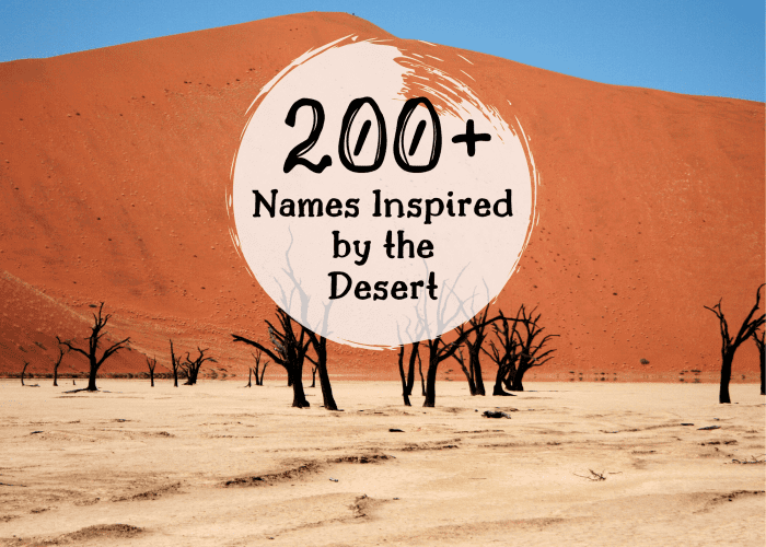 Desert Name Meaning