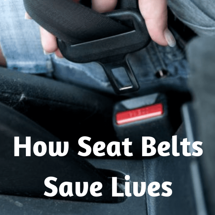 Please make sure that all seat belts are securely fastened. It could save your life...as well as the lives of the people you love.