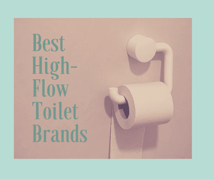 Read on to learn all about the best no clog, high flow toilet brands available, including the American Standard Champion.