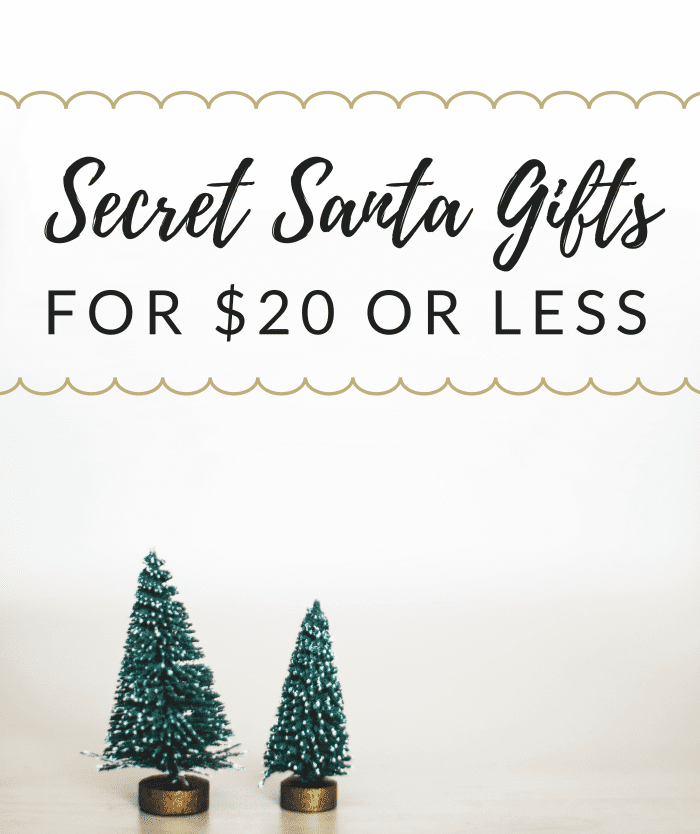 Unisex Secret Santa Gift Ideas for Under $20 - Holidappy